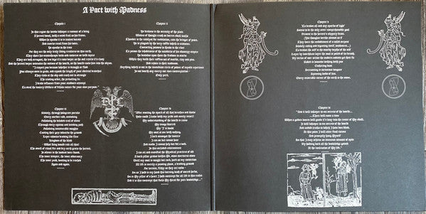 Drowning The Light - A Pact With Madness (VINYL) | Near Mint (NM) Near Mint (NM)-The Happy Cap