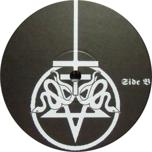 Drowning The Light - The Fading Rays Of The Sun (10" vinyl) | Near Mint (NM)-The Happy Cap