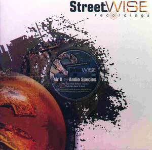 Mr. B (6) vs. Audio Species - Next School | Very Good Plus (VG+) Very Good Plus (VG+)-The Happy Cap