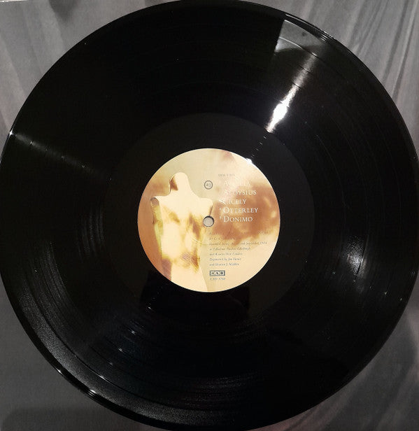 Cocteau Twins - Treasure | Mint (M) Mint (M)-The Happy Cap