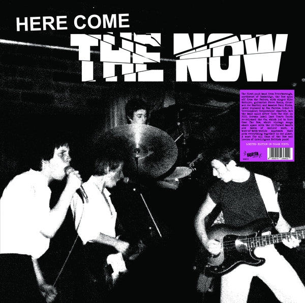 Now - Here Come The Now (Color Vinyl LP) | Mint (M) Mint (M)-The Happy Cap