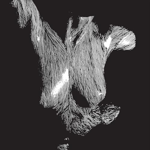 Oceansize - Self Preserved While The Bodies Float Up (15Th Anniversary) [3Lp] | Mint (M) Mint (M)-The Happy Cap