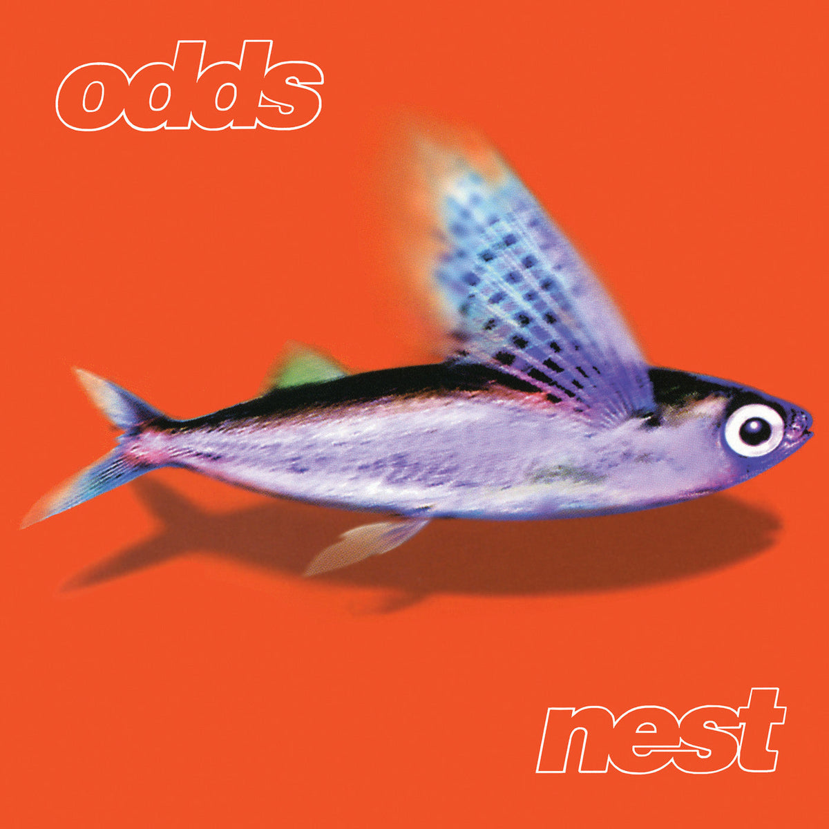 Odds - Nest (VINYL) | Mint (M) Mint (M)-The Happy Cap