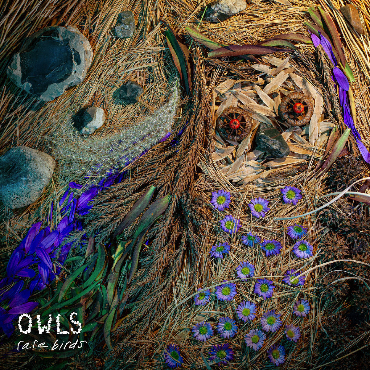 Owls - Rare Birds |-The Happy Cap