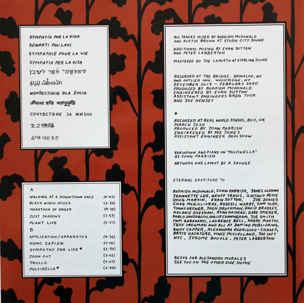 Parquet Courts  Sympathy For Life | Mint (M) Mint (M)-The Happy Cap