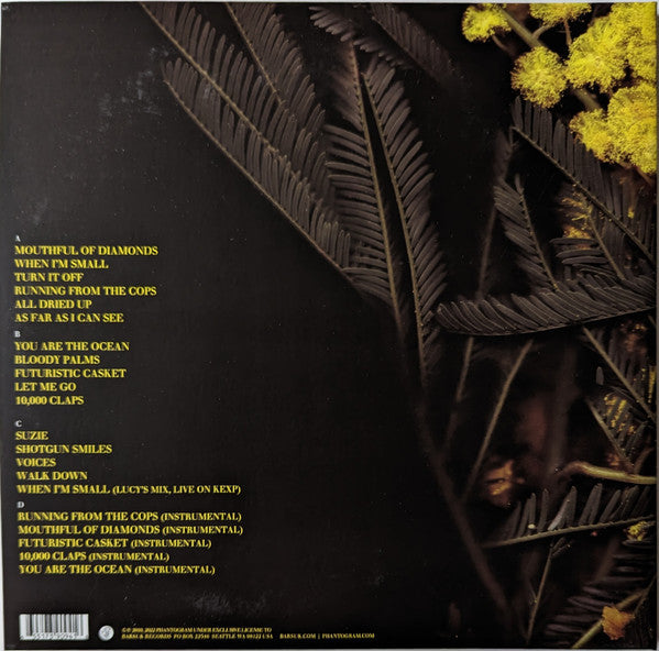 Phantogram - Eyelid Movies (VINYL) | Mint (M) Mint (M)-The Happy Cap