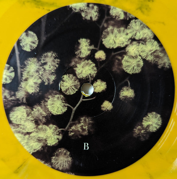 Phantogram - Eyelid Movies (VINYL) | Mint (M) Mint (M)-The Happy Cap