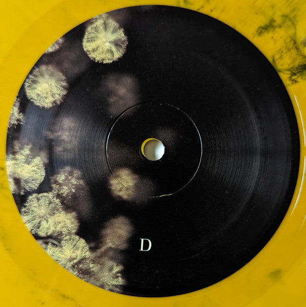 Phantogram - Eyelid Movies (VINYL) | Mint (M) Mint (M)-The Happy Cap