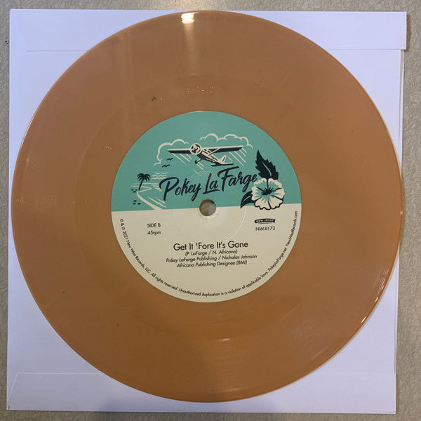Pokey LaFarge - In The Blossom Of Their Shade | Mint (M) Mint (M)-The Happy Cap