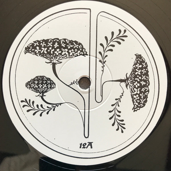 Godspeed You Black Emperor! - G_d's Pee At State's End! (180G VINYL LP + 10" EP) | Mint (M) Mint (M)-The Happy Cap