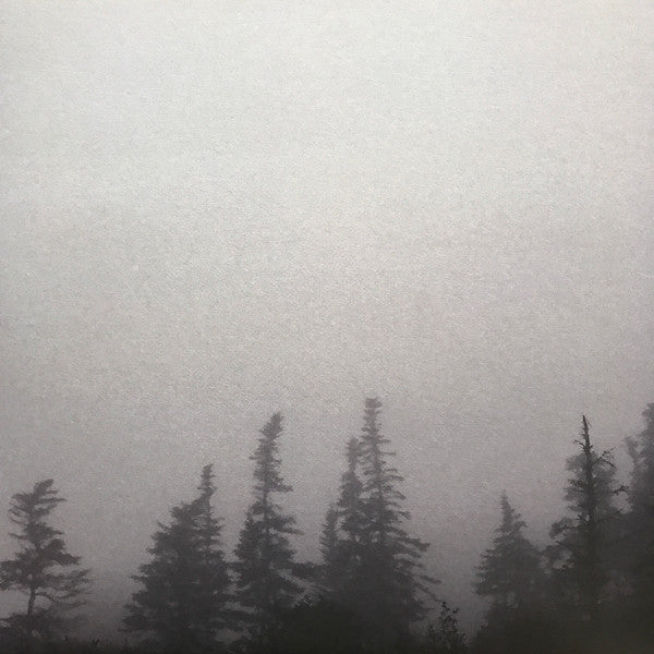 Godspeed You Black Emperor! - G_d's Pee At State's End! (180G VINYL LP + 10" EP) | Mint (M) Mint (M)-The Happy Cap