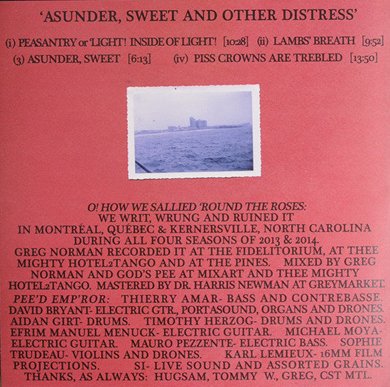 Godspeed You Black Emperor! Asunder, Sweet And Other Distress LP Mint (M) Mint (M)-The Happy Cap