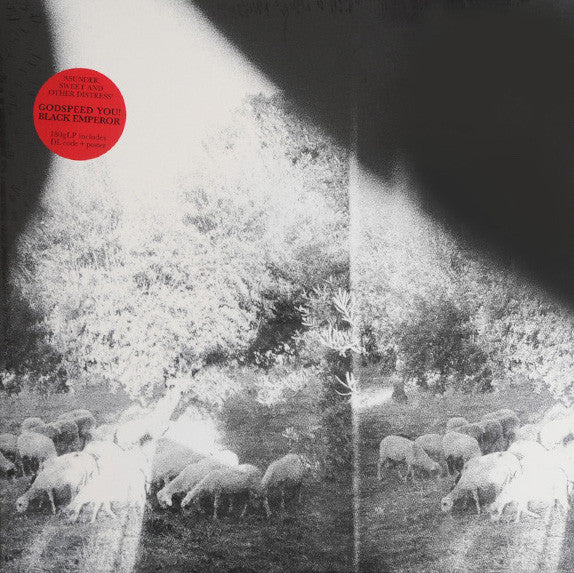 Godspeed You Black Emperor! Asunder, Sweet And Other Distress LP Mint (M) Mint (M)-The Happy Cap