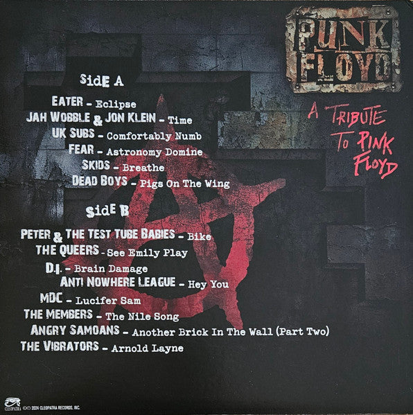 Punk Floyd (A Tribute To Pink Floyd)(COLOR VINYL) | Mint (M) Mint (M)-The Happy Cap