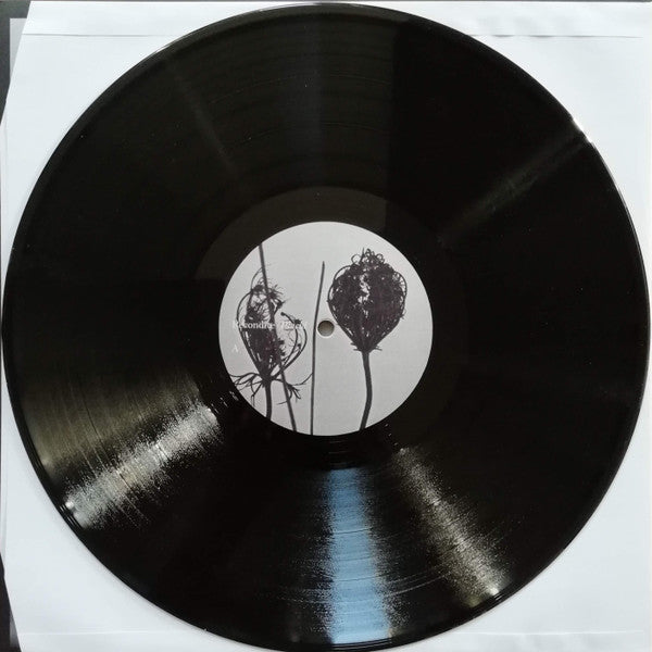 Recondite - Placid | Mint (M) Near Mint (NM)-The Happy Cap