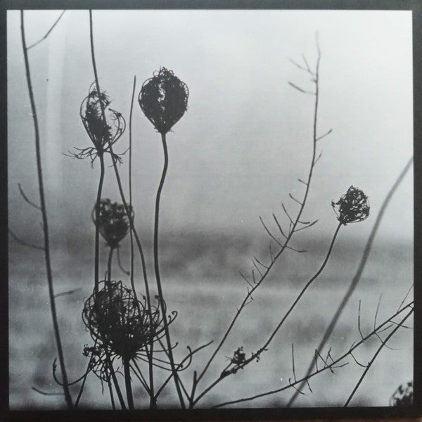 Recondite - Placid | Mint (M) Near Mint (NM)-The Happy Cap