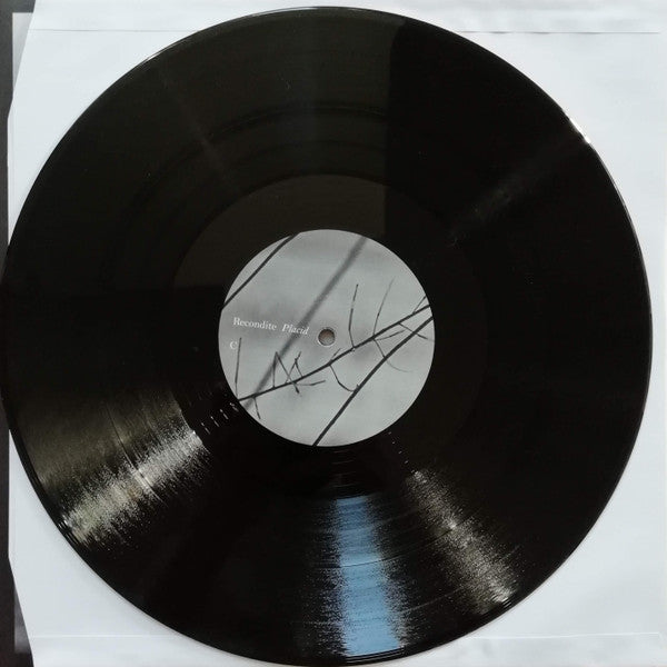 Recondite - Placid | Mint (M) Near Mint (NM)-The Happy Cap