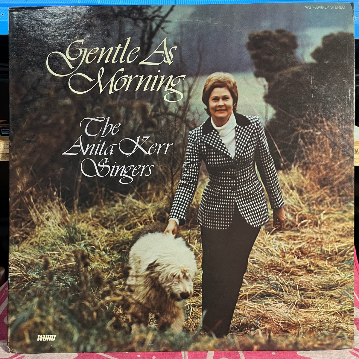 The Anita Kerr Singers - Gentle As Morning | Excellent (EX) Near Mint (NM)-The Happy Cap