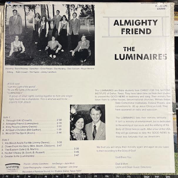 The Luminaires - Almighty Friend (VINYL) | Excellent (EX) Very Good Plus (VG+)-The Happy Cap