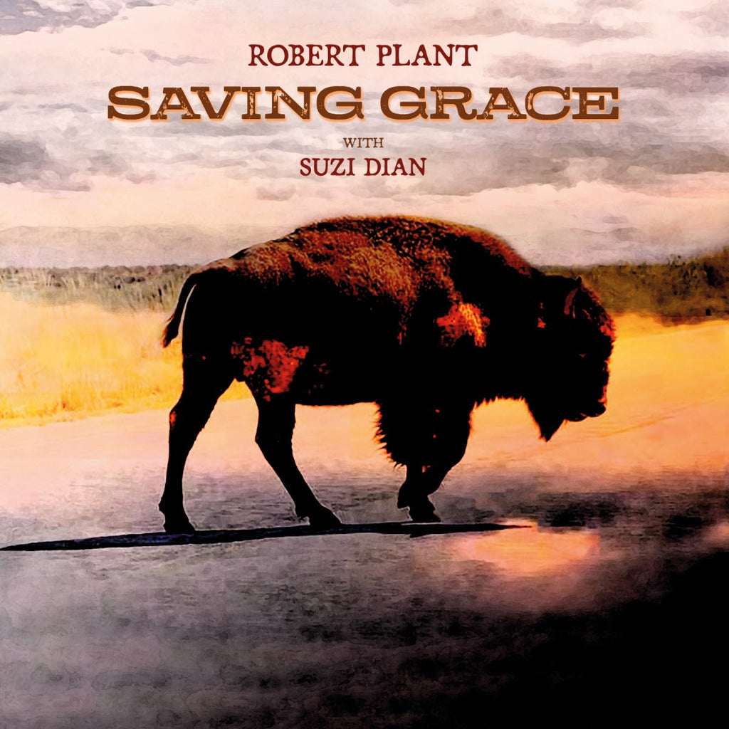 Robert Plant - Saving Grace (VINYL) | Mint (M) Mint (M)-The Happy Cap