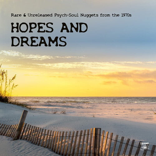 Various Artists - Hopes And Dreams: Rare & Unreleased Psych-Soul Nuggets from the 1970s (2xVINYL) |-The Happy Cap