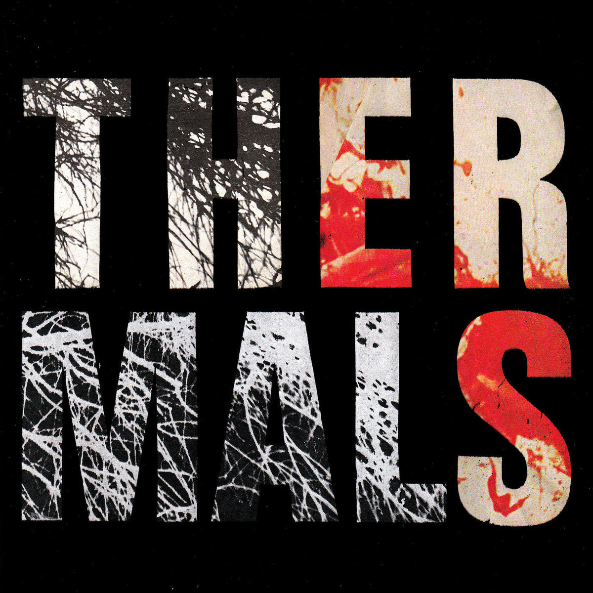 Thermals, The - Desperate Ground (CD) |-The Happy Cap