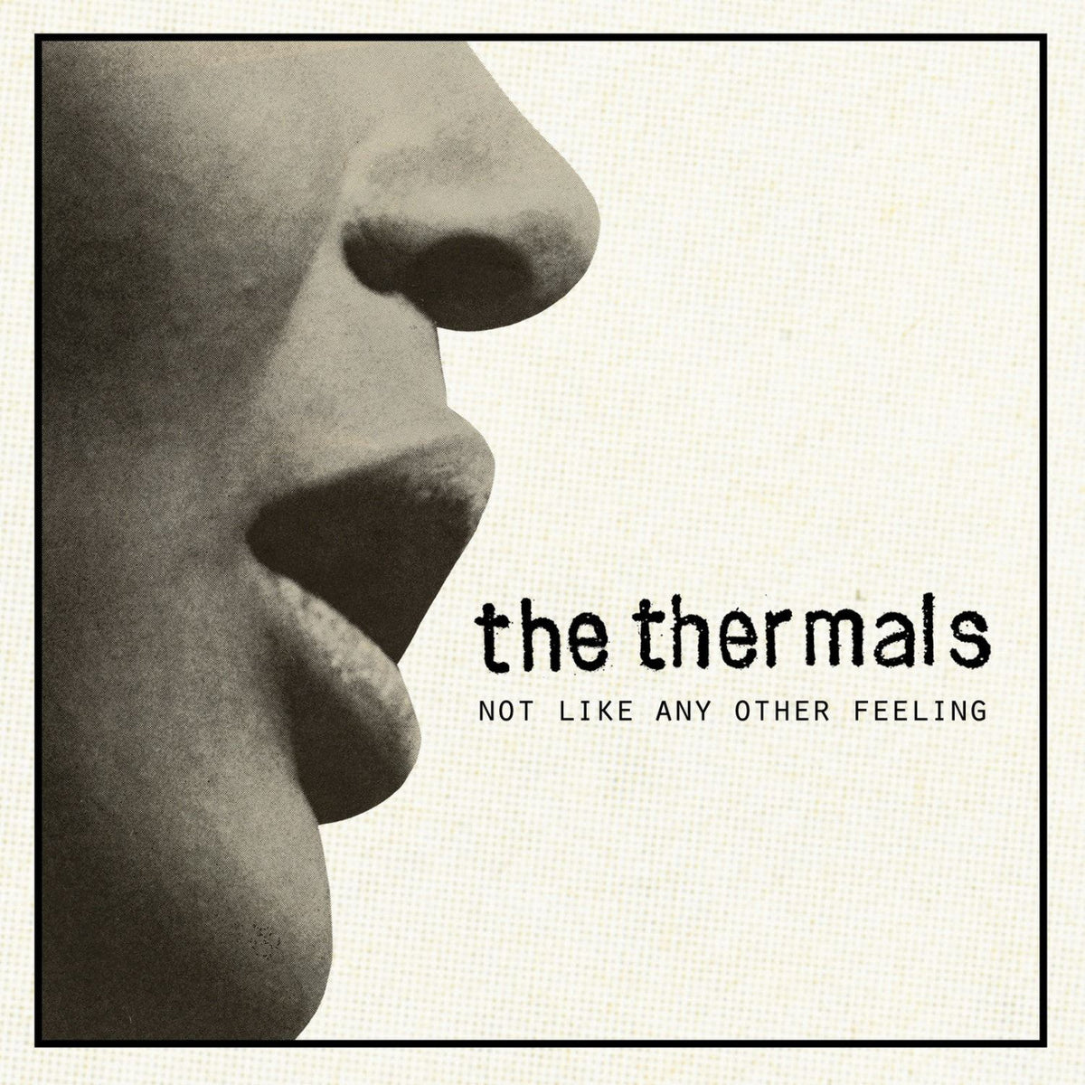 Thermals, The - Not Like Any Other Feeling - 7 inch |-The Happy Cap