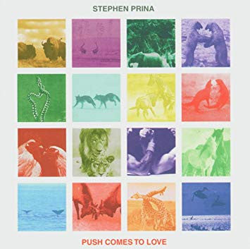 Prina, Stephen - Push Comes To Love (CD) | Mint (M) Mint (M)-The Happy Cap