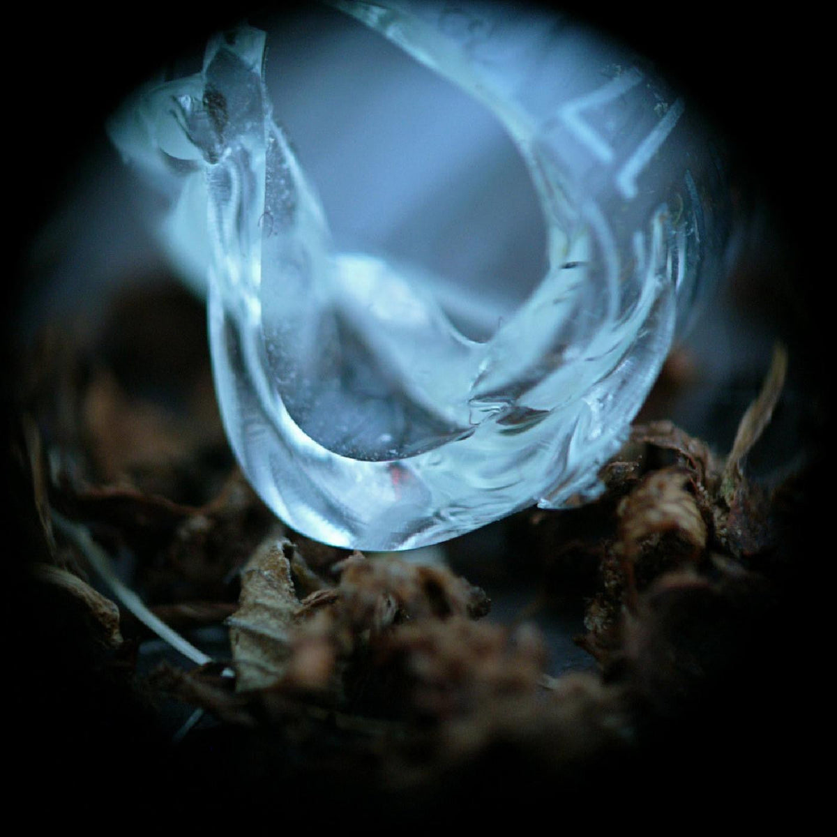 Ossicles - Mantelpiece (CD) |-The Happy Cap
