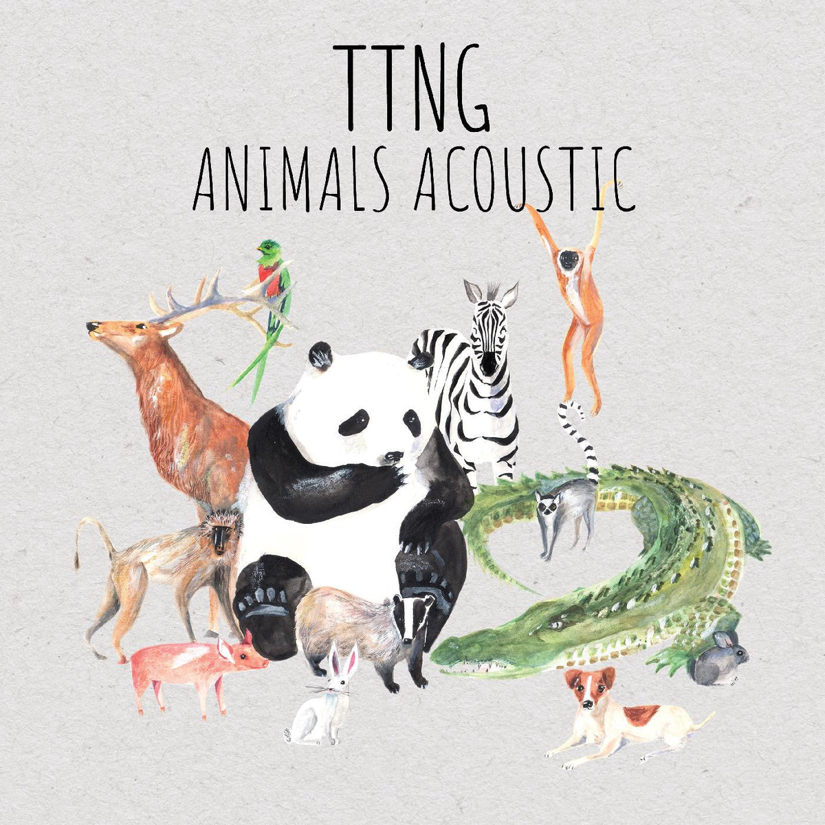 TTNG - Animals Acoustic (CD) |-The Happy Cap