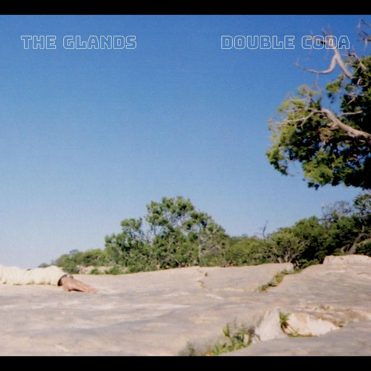 Glands, The - Double Coda (CD) | Mint Mint-The Happy Cap