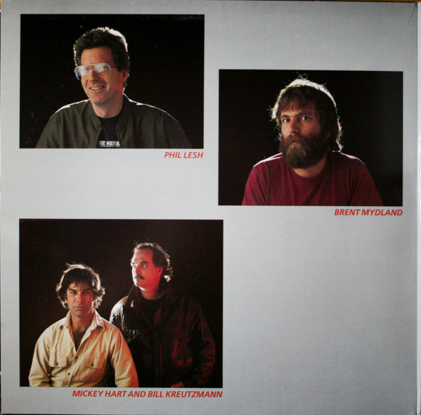 The Grateful Dead - In The Dark (VINYL) | Excellent+ (EX+) Excellent (EX)-The Happy Cap