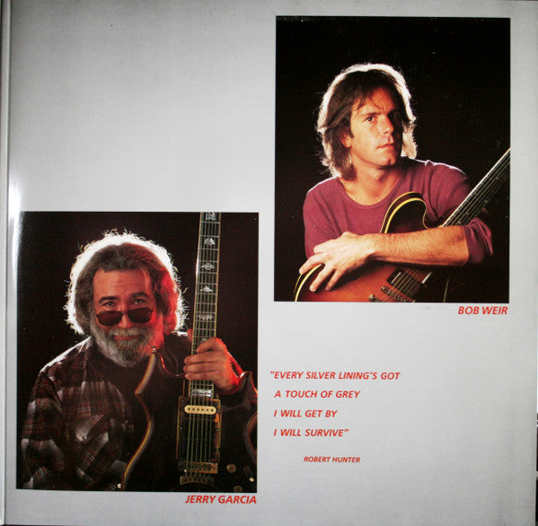 The Grateful Dead - In The Dark (VINYL) | Excellent+ (EX+) Excellent (EX)-The Happy Cap