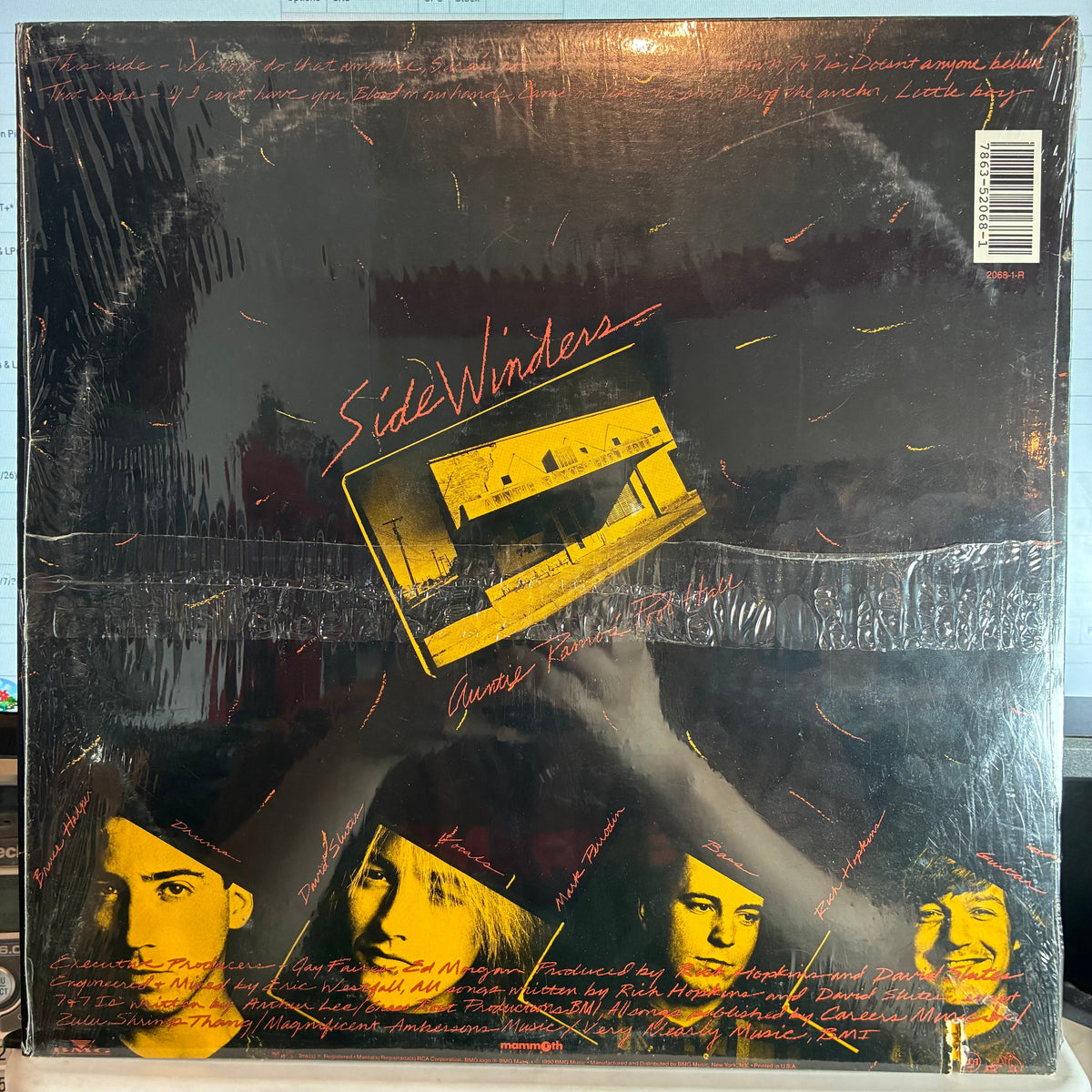Sidewinders (2) - Auntie Ramos' Pool Hall (VINYL) | Excellent (EX) Excellent (EX)-The Happy Cap