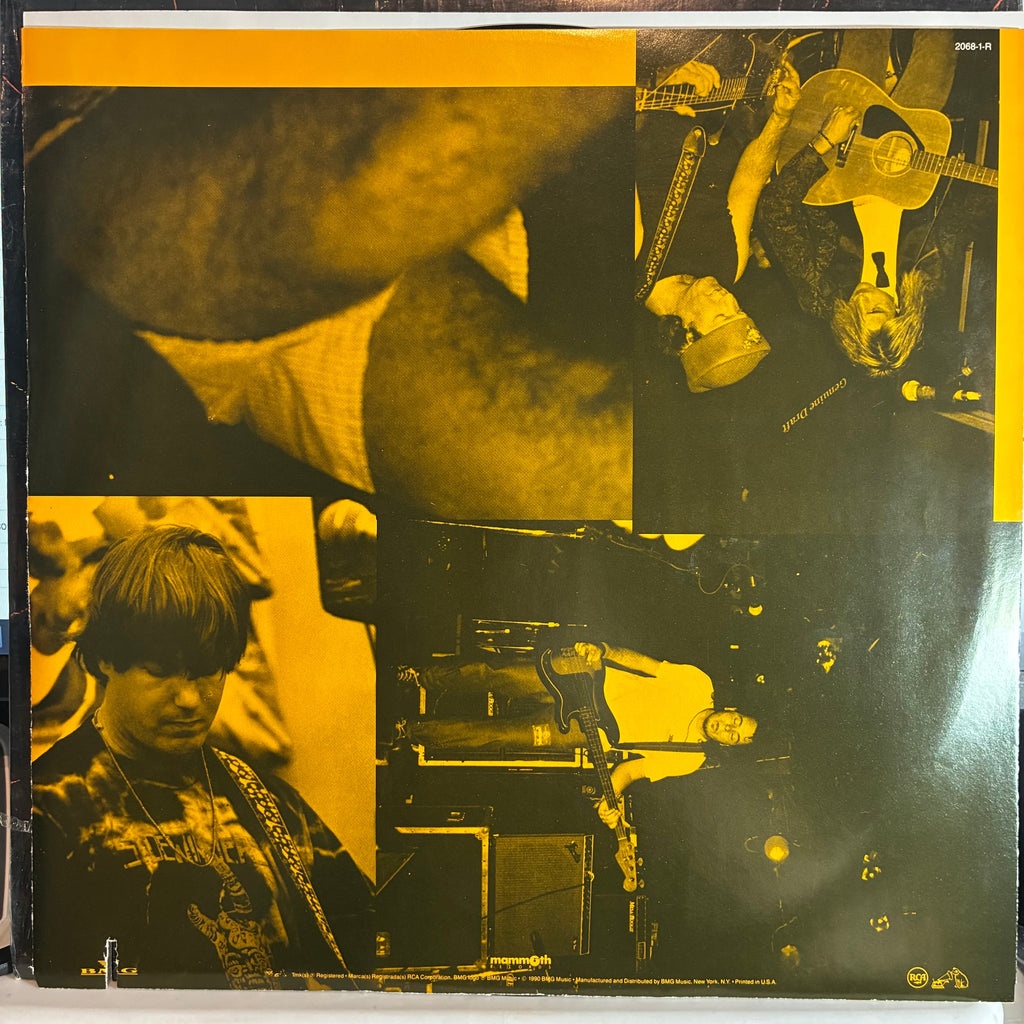 Sidewinders (2) - Auntie Ramos' Pool Hall (VINYL) | Excellent (EX) Excellent (EX)-The Happy Cap