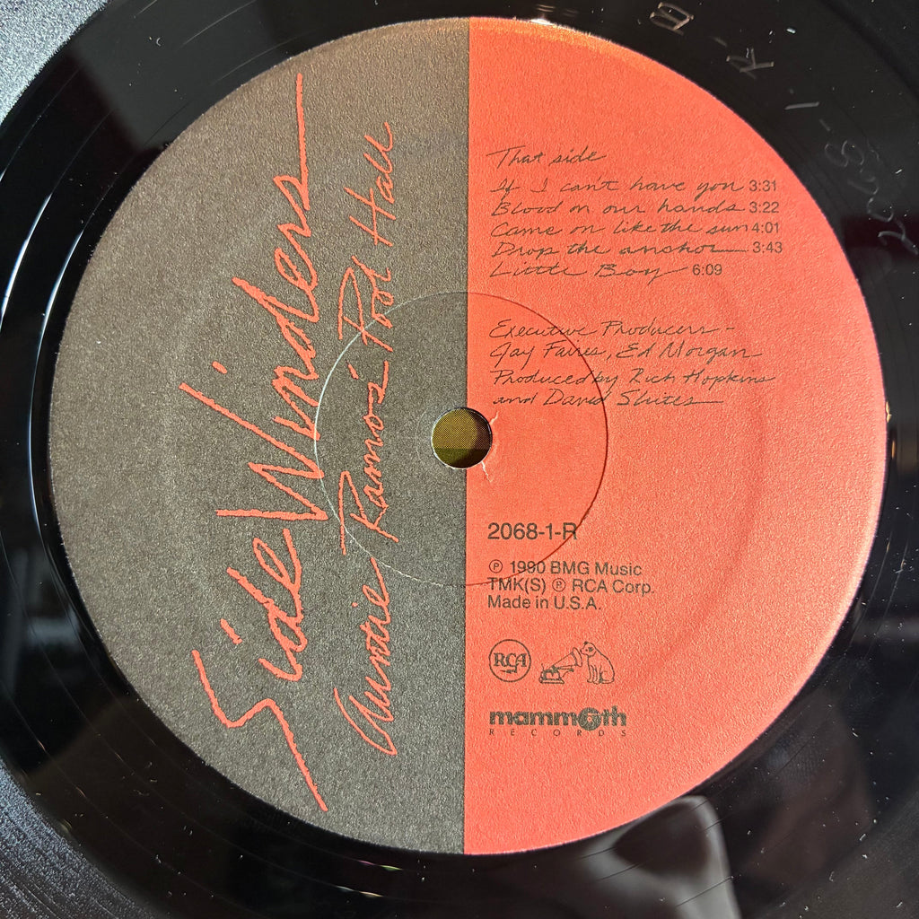 Sidewinders (2) - Auntie Ramos' Pool Hall (VINYL) | Excellent (EX) Excellent (EX)-The Happy Cap
