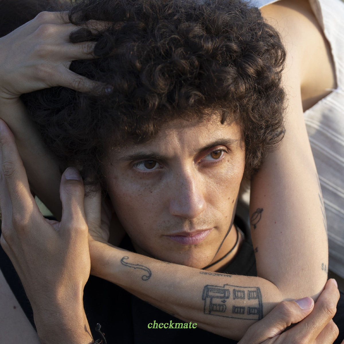 Ron Gallo - Checkmate (VINYL) | Mint (M) Mint (M)-The Happy Cap