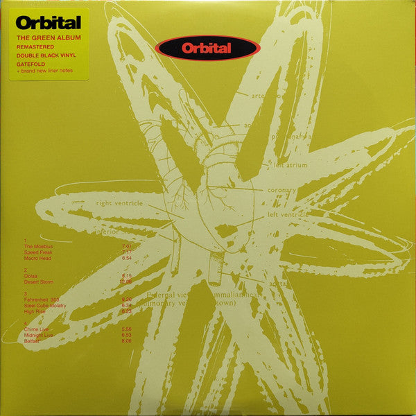 Orbital | Mint (M) Mint (M)-The Happy Cap