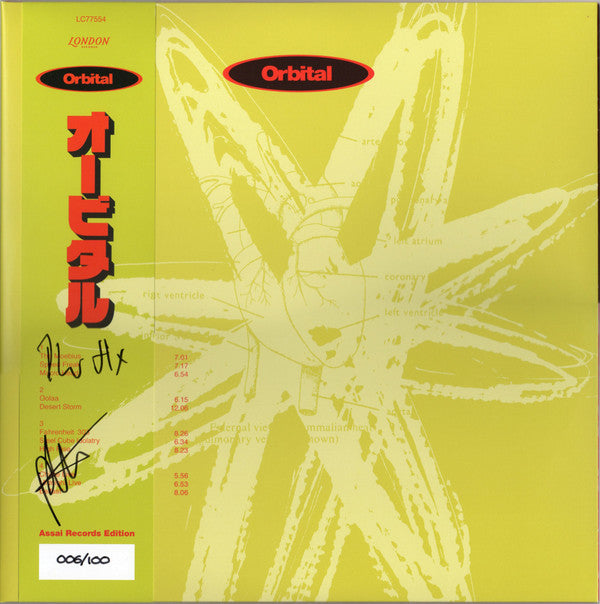 Orbital | Mint (M) Mint (M)-The Happy Cap