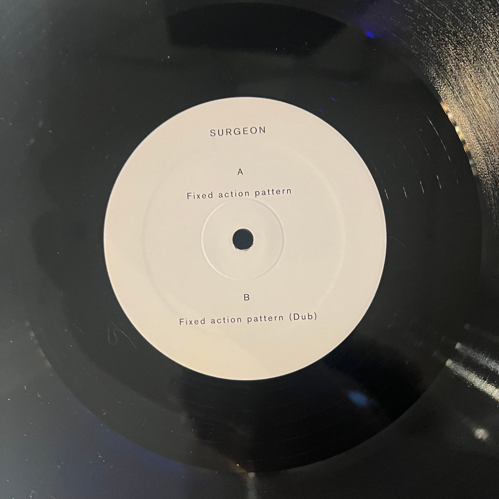 Surgeon - Fixed Action Pattern | Near Mint (NM) Near Mint (NM)-The Happy Cap