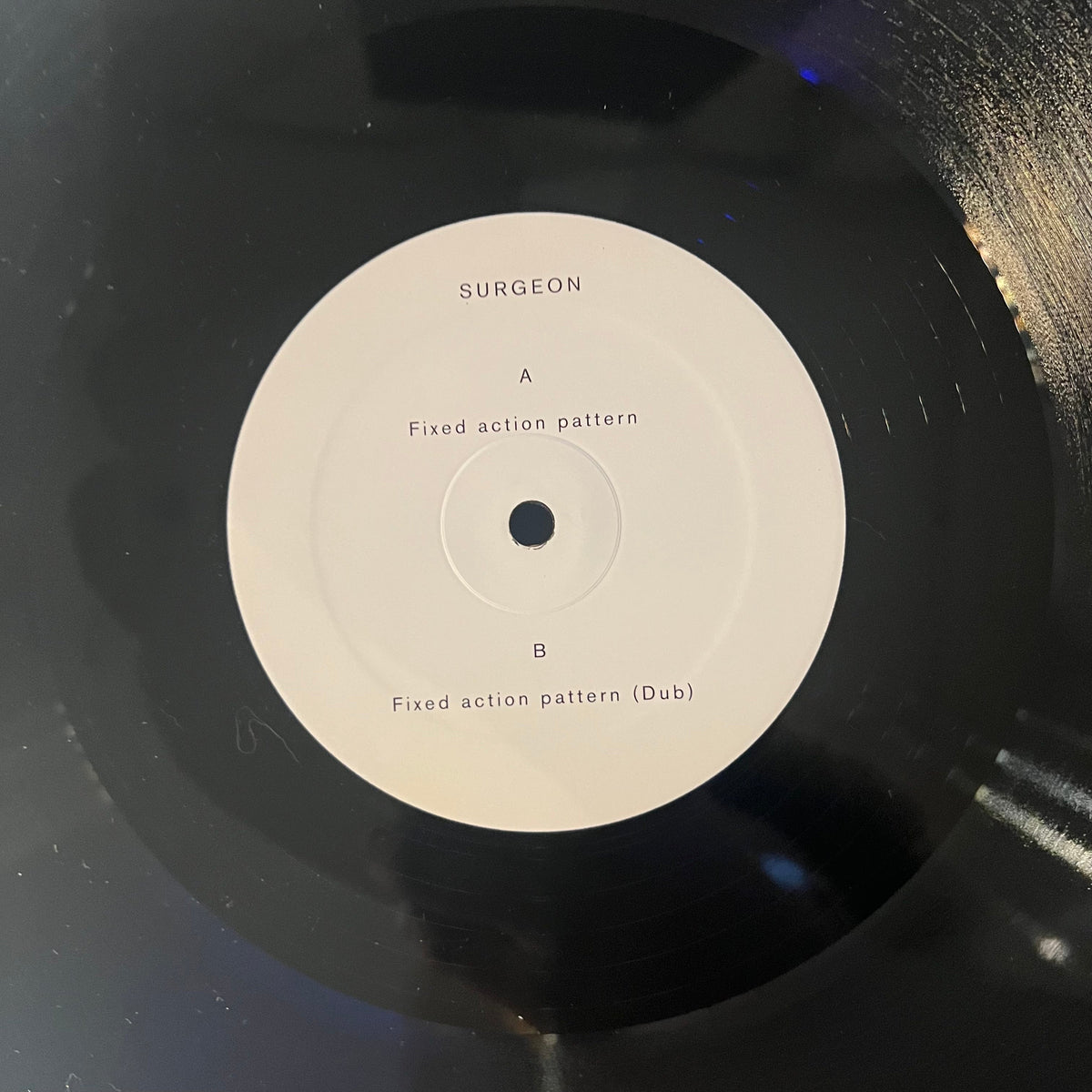 Surgeon - Fixed Action Pattern | Near Mint (NM) Near Mint (NM)-The Happy Cap