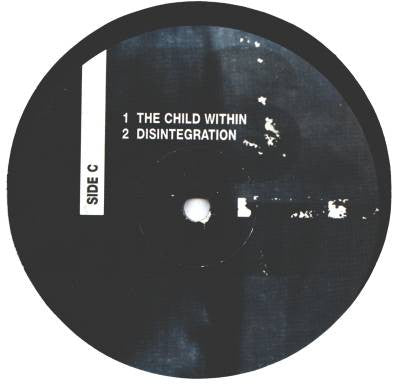 Diego - The Persuasion Channel (2xVINYL) | Very Good Plus (VG+) Very Good Plus (VG+)-The Happy Cap