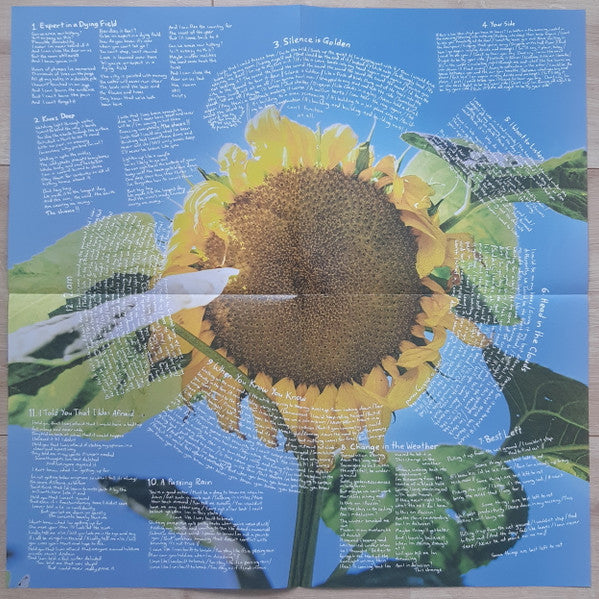 The Beths Expert In A Dying Field Carpark Records LP, Album, Can Mint (M) Mint (M)-The Happy Cap