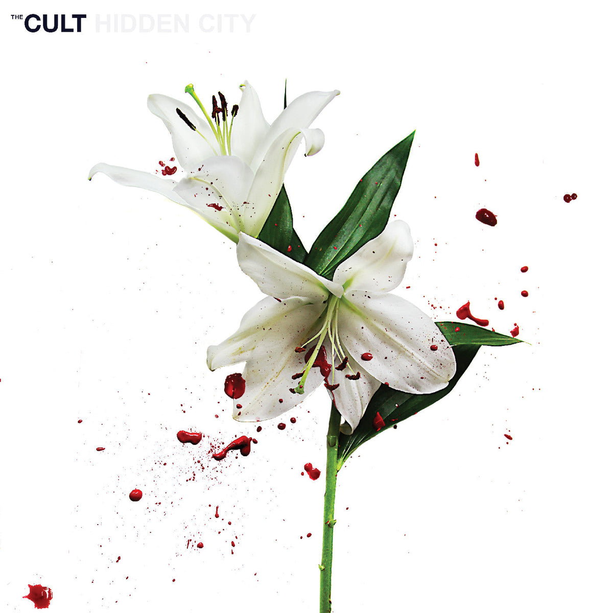The Cult - Hidden City (CV 45 Audiophile Edition 2x VINYL) | Mint (M) Mint (M)-The Happy Cap