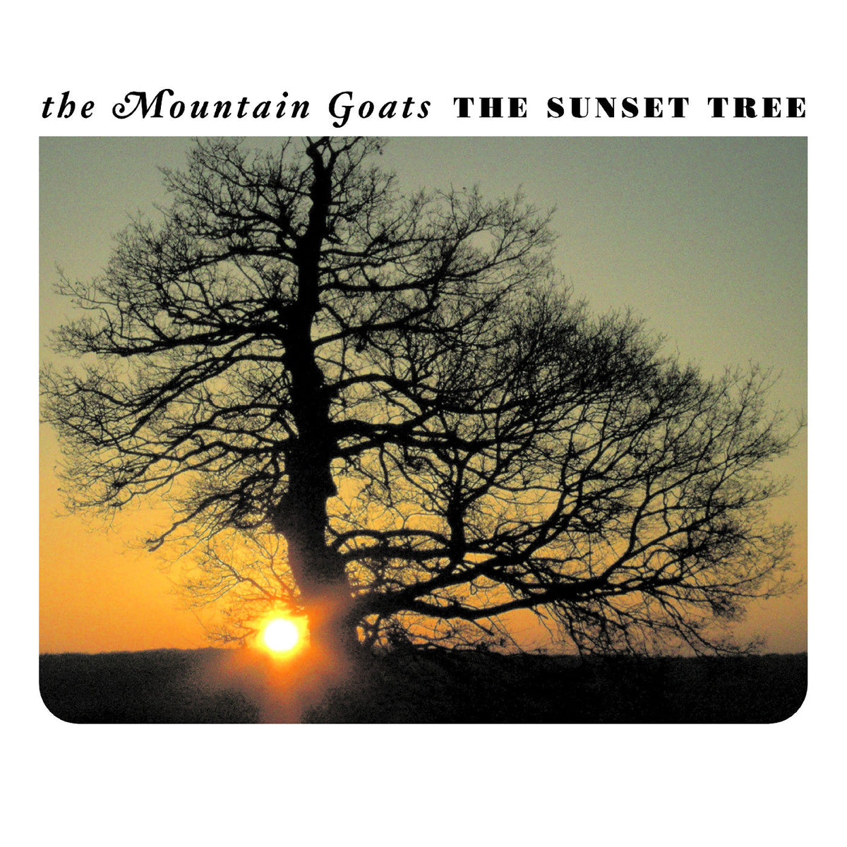 The Mountain Goats - The Sunset Tree (20th Anniversary Remaster Apricot VINYL) | Mint (M) Mint (M)-The Happy Cap
