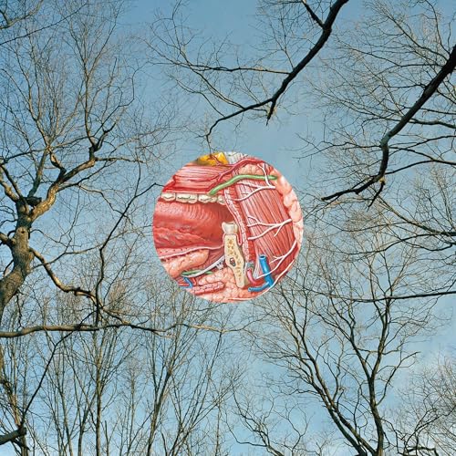 They Might Be Giants - (PRE-ORDER 9/26/25) Glean (RED VINYL) | Mint (M) Mint (M)-The Happy Cap