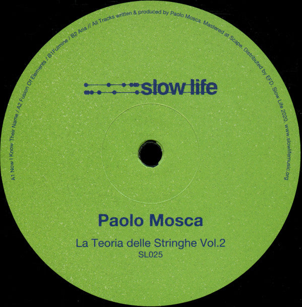 Paolo Mosca La Teoria Delle Stringhe Vol. 2 12" Mint (M) Generic-The Happy Cap