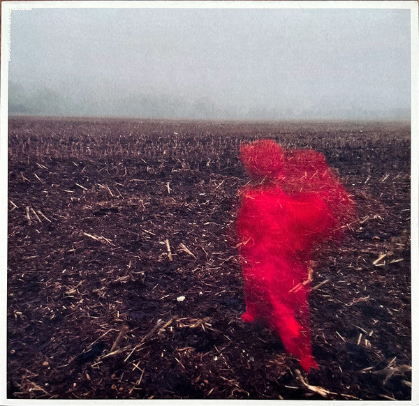 Will Varley - The Hole Around My Head | Mint (M) Mint (M)-The Happy Cap