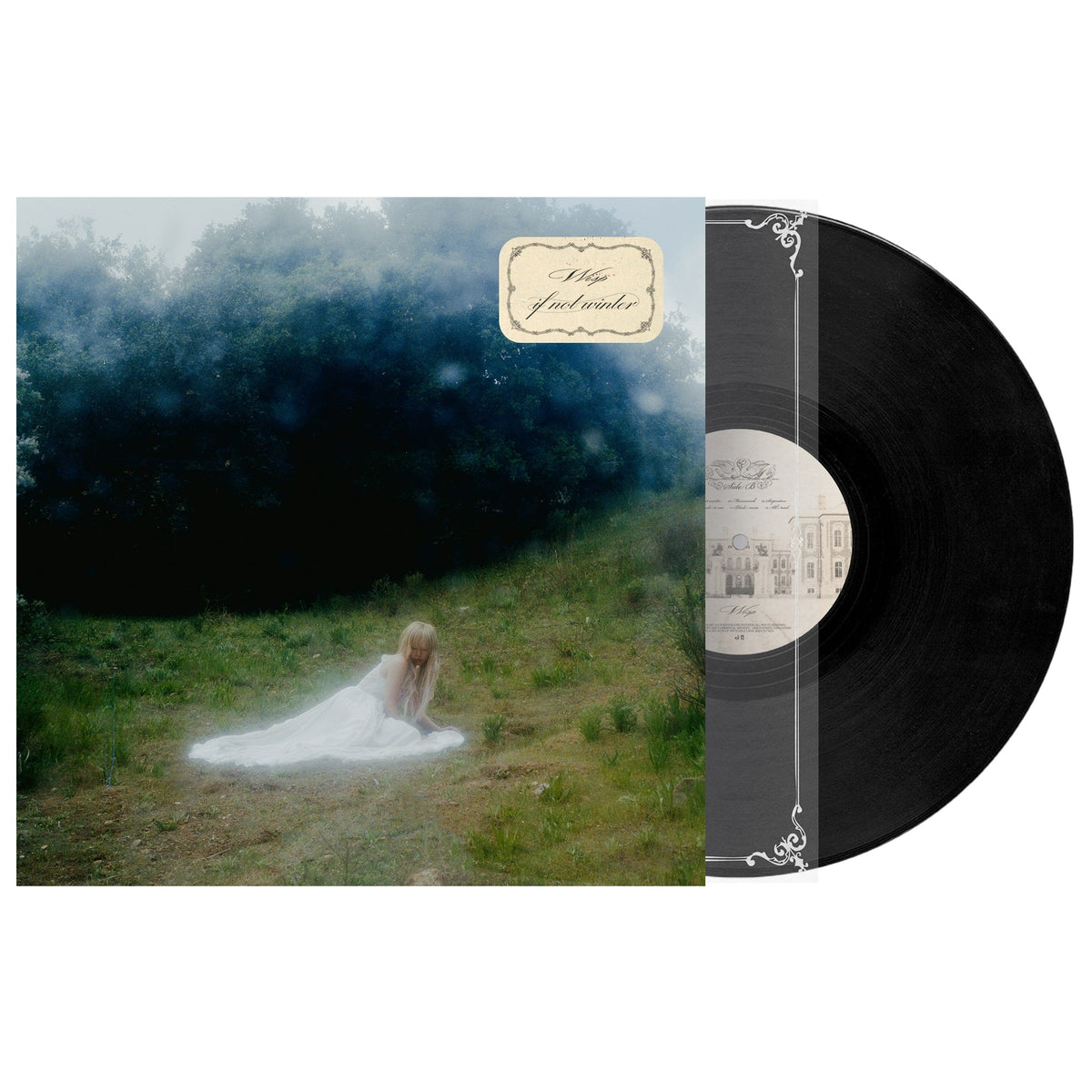 Wisp - If Not Winter (VINYL) | Mint (M) Mint (M)-The Happy Cap