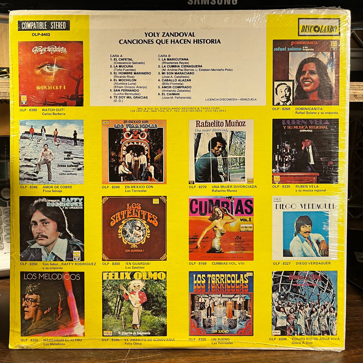 Yoly Sandoval - Canciones Que Hacen Historia (VINYL) | Mint (M)-The Happy Cap